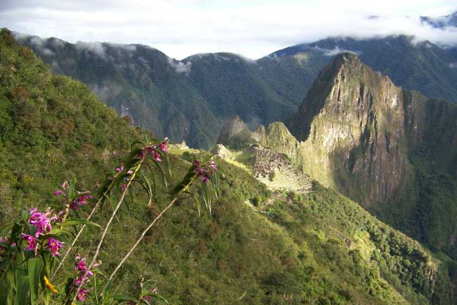 Machu Picchu Inca Jungle Trek