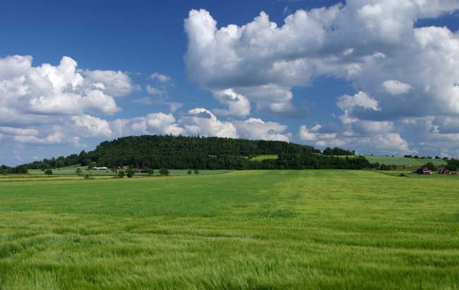 Scenery In Sweden