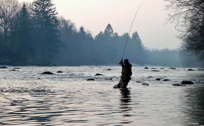 Fly Fishing For Salmon