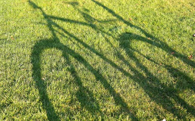 Mountain Bike Shadow