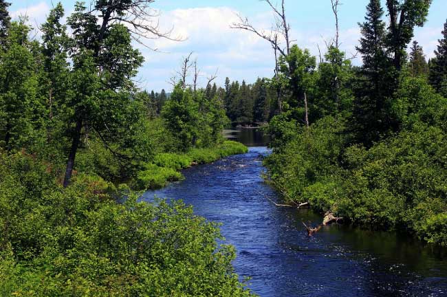 Superior National Forest