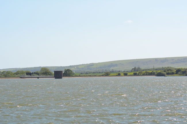 Arlington Reservoir East Sussex In Spring