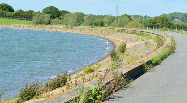 Arlington Reservoir East Sussex