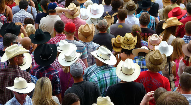 Calgary Stampede Crowd