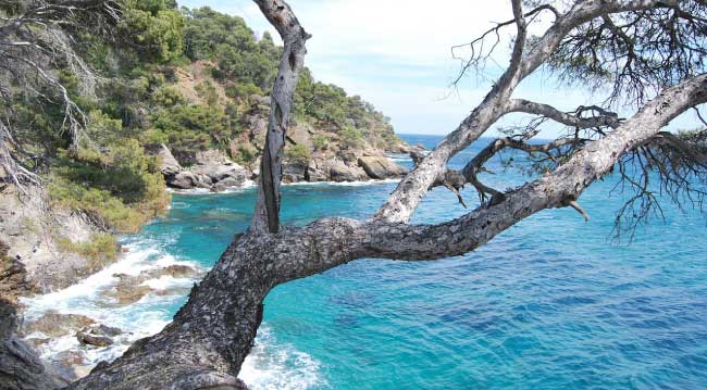 GR51 Hiking In The French Riviera