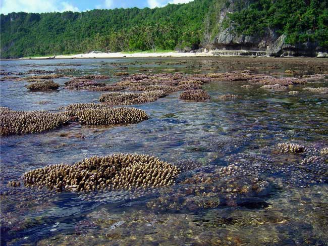 Snorkeling In Guam