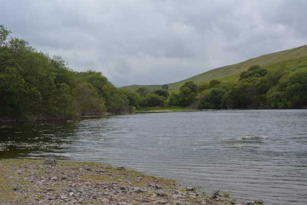 Head Of Cray Reservoir