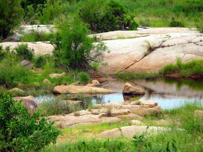 Kruger National Park