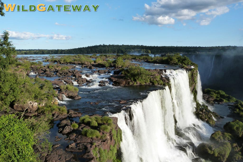 Visiting Iguazu Falls