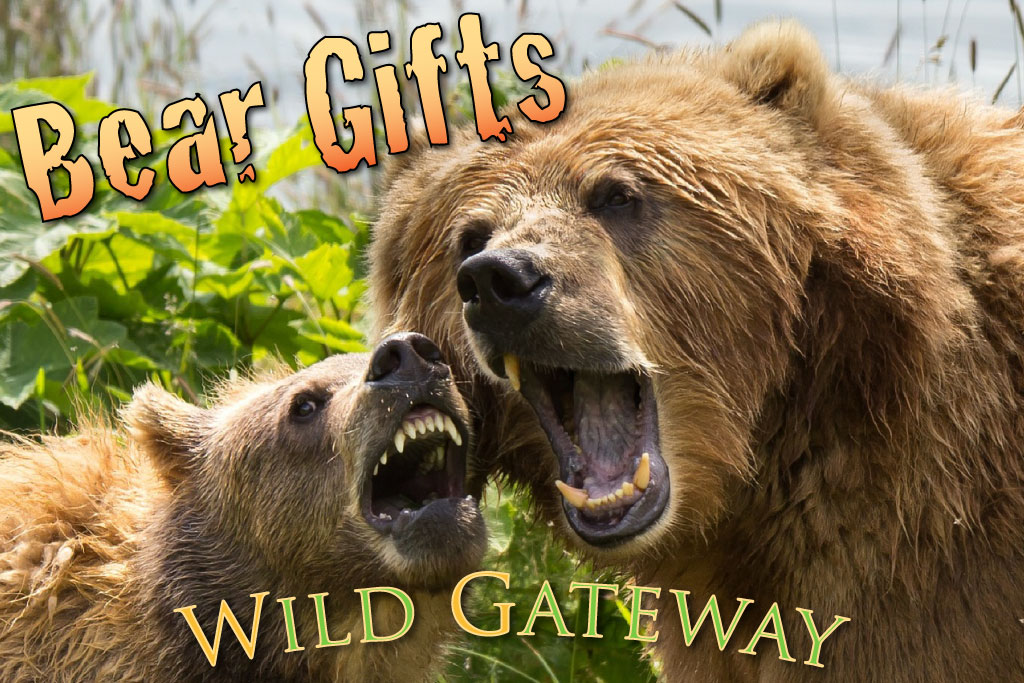 bear gifts