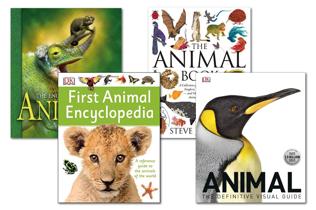 Книга animals animals