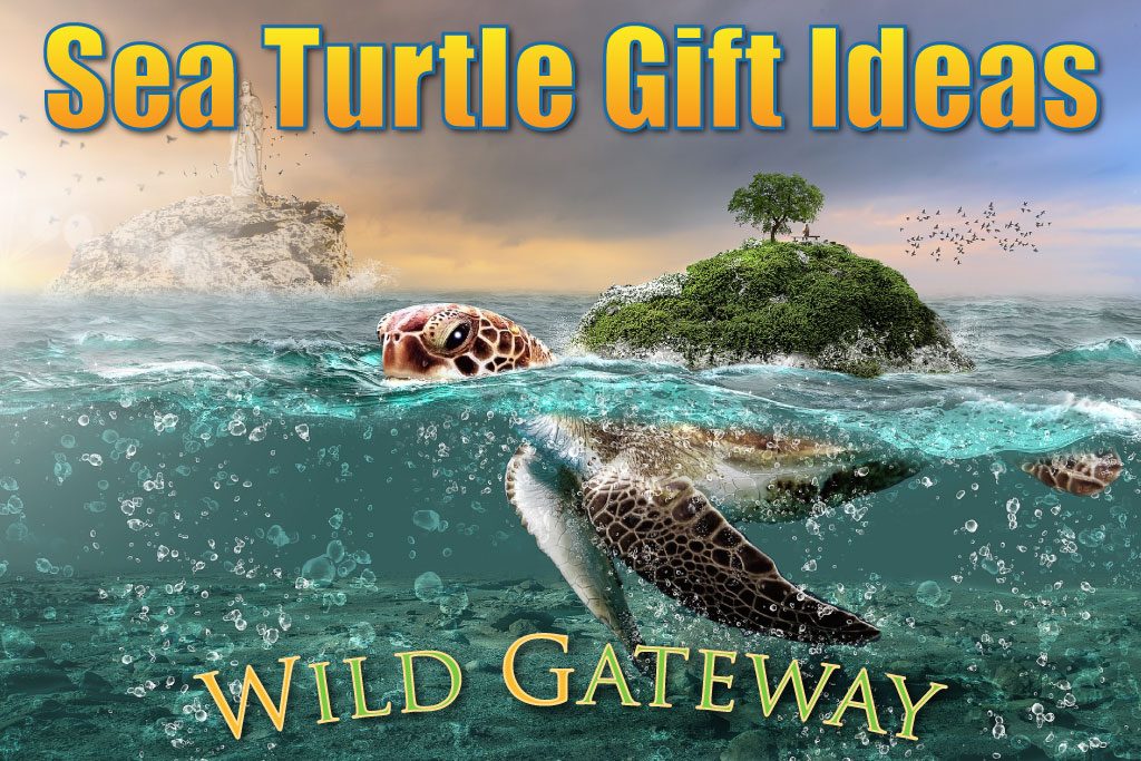 sea turtle gifts ideas
