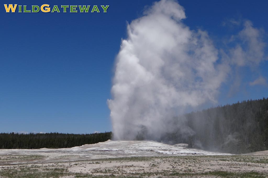 yellowstone-visit