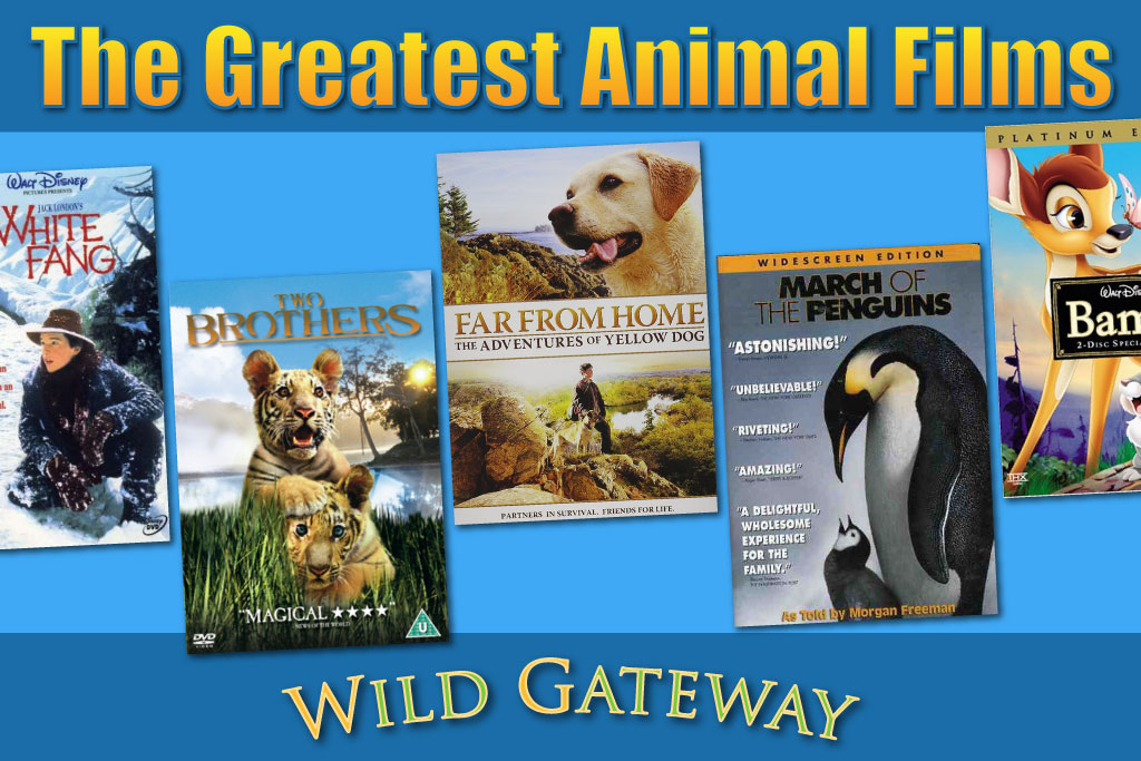 best animal films